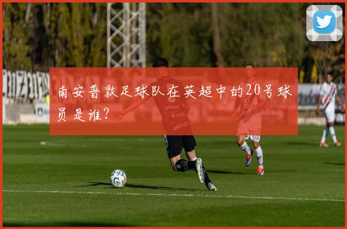 南安普敦足球队在英超中的20号球员是谁？