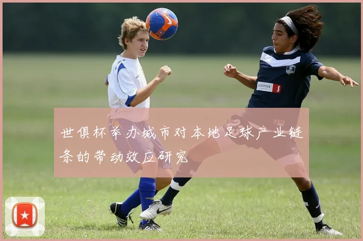 世俱杯举办城市对本地足球产业链条的带动效应研究