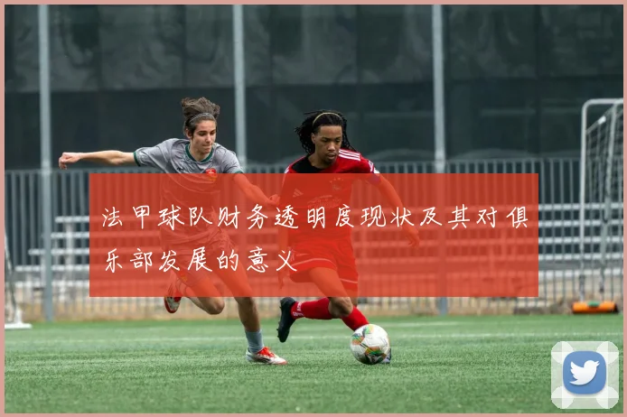 法甲球队财务透明度现状及其对俱乐部发展的意义