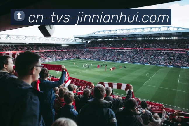 金年会体育APP 高清赛事图